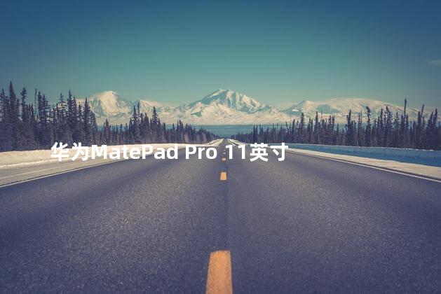 华为MatePad Pro 11英寸2024款发布